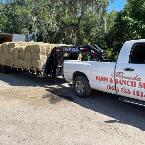 Florida Farm & Ranch branded truck parked in a lot pulling a trailer of hay.