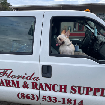 A dog sitting in the front of a Farm & Ranch pickup truck.
