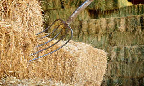 A pitchfork placed in square bales of hays