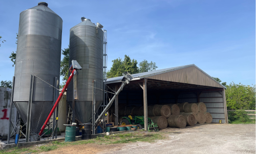 Round hay bales in a shed next to silos.